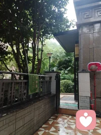下雨了！每一次下雨都是大自然给我的礼物，地里农作物都笑了，展开绿叶迎接每一个雨滴的到来。以前我和爱人定期给它浇水施肥，都没有如此开怀大笑。.
这一切让我想到心理咨询，当来访者与我们倾听后，我们能够予的东西，就是让他们活下去，成长好！而真正要让他们高兴的事，是他们的环境要给予他们有用的东西，这环境是家庭，是社会给予的帮助。
心理咨询的影响力就如同我和爱人给农作物施肥灌水，而家庭社会的影响力就如同久旱逢甘霖，这才是他们得以健康生活源泉。配图