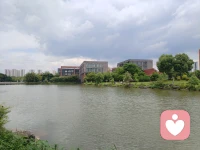 读论语，学心理学。
子曰：“不患人之不己知，患不知人也。”
意思就是：“不要担心别人不了解自己，只担心自己不了解别人。”这句话正是唯有读懂方能慈悲的古文。
用孔子话告诉我们一个真理，了解一个人比让别人了解你重要，无论是敌是友，都需要去了解它，没有调查就没有发言权，也正是这个道理，在现实的生活中，不论是夫妻关系，恋人关系，还是亲子关系，很多人靠猜疑，不合理推测来判断一个人，极易产生矛盾和争吵。
在关系中，我们时时要问自己，我真的了解她吗？我真的懂她吗？她的需求是什么？她给我们带来了那些重大的价值？她的优点和缺点是什么？正确认识对方，才能给自己产生正确的认识。因此在心理学有一门技术叫面质技术，它是帮助我们了解他人，认识他人的技术，也是心理学疗愈的重要技能。配图