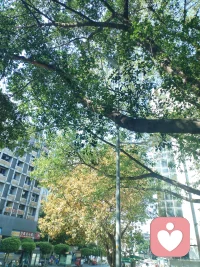 很多时候
不是我考虑太少，
而是我们想得太多
到最后还在想

如不行动
再好想法都是空想
不要把过程想得困难
一步一步走，总会到终点