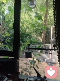 对于表演型人格的相处之道，包容但不纵容他们，理解但不支持，看透而不说透，给他们一点机会，让他们自我去觉察，自我认知，认识自己的真正价值，不扩大事实，学会真正描述事情，来获得自己需求，无需去表演或欺骗来获得到别人帮助及信任。