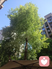 决定生活质量是今天你在干什么？
现在做的事情是否与你生活质量有关系。

目标明确，行动正确，线路清晰，思维敏捷，不偏不倚
那就是今天我们要干的事情。