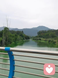 空山新雨后，天气晚来秋。明月松间照，清泉石上流。
我见青山多妩媚，料青山见我应如是😁配图