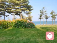 26.5.7，早安配图