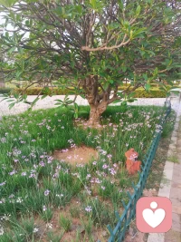 2026.5.11，早安配图