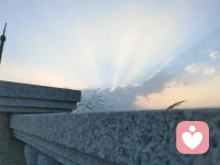 20260528………配图