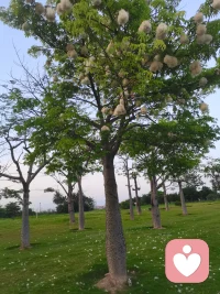 20260529配图