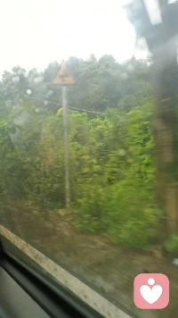 20260614
正念分享-视觉
记录幸福小事，加深视觉感知。
推荐书籍：《改善你看待事物的方式》-凯瑟琳
我们需要有意识地将自己的注意力倾注到积极的事物中。其实，当你对周围环境开始有了正念的态度，你可能会发现生活中存在很多让你喜悦或感动的事物。当你看见它们，和它们连接的那一刻，你会产生满心欢喜。比如蓝天下，一片轻盈的云；路边灿烂盛开的花，随风摆动的树叶等等。
快乐清单：视觉画面或物件

请记录几个眼睛看到的、能给你带来积极体验的画面或物品，用拍照或文字的方式记录下来。

小TIPs：这需要你仔细观察周围的环境，用正念的态度与之产生连接，同时觉察自己的情绪感受。配图