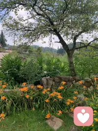 在这个情绪内耗严重的时代，如何谈一场优质的恋爱呢？
一、先搞懂：什么叫“优质恋爱”

不是甜到齁、天天腻在一起，而是：

• 彼此尊重，不贬低、不控制

• 情绪稳定，有事能沟通，不冷暴力

• 共同成长，而不是互相消耗

• 有边界，有自由，也有安全感

一句话：舒服、安心、越变越好。
二、第一步：选人比经营更重要

优质恋爱的起点，是选对人。

1. 必看的底层品质

• 情绪稳定：生气不骂人、不摔东西、不冷暴力

• 有责任心：说到做到，不逃避问题

• 尊重你：尊重你的想法、工作、朋友、边界

• 人品可靠：对服务员、家人、前任的态度，就是以后对你的态度

2. 坚决避开的人

• 贬低你、否定你、让你自我怀疑

• 忽冷忽热、画大饼、从不兑现

• 控制欲强、查手机、限制社交

• 遇到问题只会甩锅、冷处理

相处不舒服，再喜欢也要及时止损。
三、第二步：建立健康的相处模式

1. 好好说话，而不是争输赢

• 吵架可以，但不翻旧账、不人身攻击

• 用“我感受”代替“你总是”
例：

◦ 不说：“你根本不在乎我”

◦ 说：“你刚才那样，我有点难过”

2. 保持边界感，不恋爱脑

• 有自己的生活、朋友、事业

• 不围着对方转，不失去自我

• 不无条件妥协，底线要清晰

3. 信任靠行动，不靠嘴

• 少听甜言蜜语，多看实际行动

• 不查岗、不试探，但也不盲目包容

• 说到做到，才值得信任

4. 仪式感不用贵，用心就好

• 记得重要日子

• 偶尔一句关心、一个小礼物

• 疲惫时互相托底，比浪漫更重要
四、第三步：爱别人之前，先爱自己

优质恋爱的前提，是你本身就过得不错。

• 经济独立，精神独立

• 有自己的爱好和追求

• 懂得照顾情绪，不把快乐全押在对方身上

你是完整的人，不是缺一半等待填补。
五、第四步：出现问题怎么处理

1. 冷战=消耗，能沟通就别憋着

2. 原则问题（出轨、家暴、欺骗）一次也不能忍

3. 长期不开心、内耗严重，及时放手也是优质选择

4. 不合适就体面分开，不纠缠、不贬低
六、最简单的总结版

想谈一场优质恋爱，记住这4点：

1. 选人看人品和情绪，不看颜值和情话

2. 相处讲尊重和沟通，不搞控制和冷战

3. 爱对方也要爱自己，保持独立和边界

4. 舒服就继续，内耗就离开配图