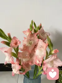 好想聆听你心里的声音👂配图