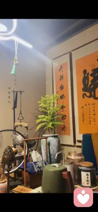 世间事纷纷扰扰，你只需要做好自己就好……静时细思己过，因为能够做好自己才是真正的强者，不要因为一件事一个人毁了自己的好心情，学会和这个世界和解，学会放下