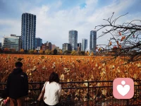 第一次入驻心理平台，感谢老师的用心指导，心里软软的，既期待又紧张。
希望在这里，能真正听见那些没说出口的情绪，接住每一份小心翼翼的倾诉。
愿有人愿意卸下防备，而我，始终温柔在场。