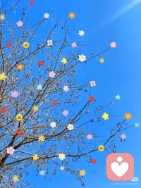 ✨ 今天起，多了一个新身份——倾听师。
 
如果你有没说出口的烦恼、理不清的情绪，随时找我。
 
我在，听你说。配图