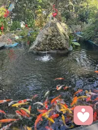 再美好的东西 不属于你 就该体面退场
放手那一刻会疼 会不舍
但放过执念 也是放过自己
懂得放下 才是真正的成熟
也是另一种圆满的幸福。