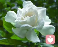 把 “为什么走散”换成“它教会了我什么”                                               
有些感情，只适合成长；
有些故事，只适合收藏。
它教我怎么去爱，
也教我怎么放手。
它没有对错，没有结局，
却在我生命里刻下很深的印迹。
当你把注意力从“失去”转向“获得”，遗憾就开始松动。