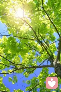 把 “为什么走散”换成“它教会了我什么”                                               
有些感情，只适合成长；
有些故事，只适合收藏。
它教我怎么去爱，
也教我怎么放手。
它没有对错，没有结局，
却在我生命里刻下很深的印迹。
当你把注意力从“失去”转向“获得”，遗憾就开始松动。