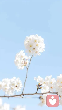 生活不会辜负每一个认真对待他的人，你的坚持终将美好