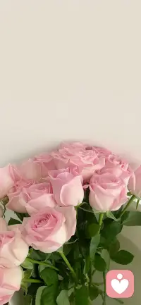 生命中有些人的出现，总是要教会你什么…痛苦让你看见内心的匮乏，不去怨恨，如果能遇见真爱，便是上天赠予你的厚礼，就用心珍惜，倾力付出，不必执着永恒，相逢或许是前缘未了，今生需要彼此的照见与偿还，分离不过是心债已清，你我各自圆满……愿你阅历事世，依然真诚！