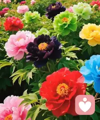 “这些年跟我生活在一起，因为我太强势，让你承受了太多的委屈。”——这是我的一位想要修复关系的朋友说给正跟她闹离婚的老公的话。在此之前，她老公基本上不跟她说话，当她说了这句话之后，他们恢复了沟通，因为他开始感觉到自己的痛苦终于被理解了。配图