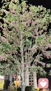 你认为自己是对的，但结果不是你想要的，那你的认为就是错的。