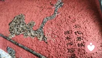 光流向黑暗并不是为了被黑暗吞噬，是为了照亮黑暗之后，全身而退。