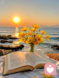 我是小gay，陪你一起向内生长的心理博主。不灌鸡汤，只拆解情绪背后的真相。不画大饼，只给可操作的成长方法。世界或许嘈杂，但你可以听见自己在这里每一次思考都离清醒，更进一步