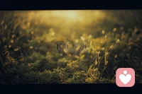 心理咨询不是“治病”，
而是给情绪一个被看见、被接纳的机会。
 
不用硬撑，不用假装没事，
你可以脆弱，可以迷茫，可以暂时走不出来。
愿意向内看，愿意好好爱自己，
就已经很了不起了。