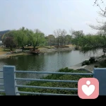 渡人渡已的头像