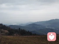 人的一生说长不长，说短不短，但真正可以完全如自己心意的事，能有多少件呢！所以凡事看淡一点，再淡一点，心就不那么累了，咱们呢也可以活的轻松一点，爱你所爱，做你能力范围之内可以做的事。