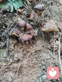 “没人会为你的未来买单，
要么努力向上爬，
要么烂在底层泥潭；
靠人不如靠己，
靠山山倒，
靠水水跑，
自己的能力，
才是永恒的依靠。