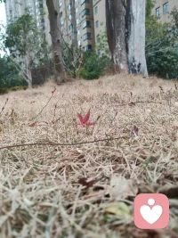 成年人的世界，就夜深人静的时候将破碎的心掏出来缝缝补补，

然后明天又是崭新的开始。