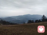 人的一生都在和同频的人相遇，和不同频的人分离，缘起我在人群中遇见你，缘落你在人群中。