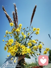 也许是因为现在的生活节奏太快，所以才格外怀念以前车马很慢的时光，之前走在自己熟悉的小路上，遇到的人都会相互问候，现在走在路上，大家都在忙着低头看手机，一部手机就像一座孤岛，把我们自己圈禁其中，孤独渐渐成了我们生活的常态，生活缺少的不一定是锦衣玉食，更多的是陪伴。