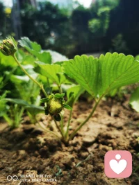 早安，温暖又炙热的阳光，驱赶一切阴霾照在大地上，希望每个人在自己的至暗时刻，都有一束光恰好照进来，给予你前进的力量。