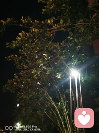 人们很多时候是无法接受自己所遭受的一些伤害，终其一生都在为这个伤害买单，今天听到一句话，挺让人释然的，她说：接受自己曾经遭受的伤害，才是对自己最好的放过。人的一生很短也很漫长，与其在过去的伤害里沉沦，不如学着和它共存。配图