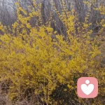 🧊那些温暖的灵魂   你们还好吗的头像