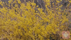 ?那些温暖的灵魂   你们还好吗