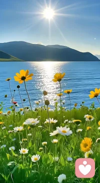 生活的美好，努力是标配，新的一天，请你一边努力，一边快乐...