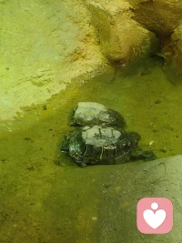 1️⃣万物皆不完美，人生总有缺憾。喜欢就争取，得到就珍惜，失去就忘记。别给情绪加滤镜，健康快乐即顶配。配图
