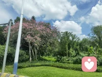 孩子正真的强大，是与父母建立一段有强力量的关系；
​
​当他情绪崩溃的时候，你不要打断他、也不要不批评他，更不能着急纠正他，只是稳稳的陪着他，告诉他，你这样也被理解，被接住。这种关系是容器关系。 不仅接得住他的优秀，更能接得住他的混乱，他的崩溃，他的情绪失控，当孩子感受到这一点，他才在心里慢慢长出一个确定的声音，我是值得被爱的，就算我不完美，也是可以存在的。真正的强大不是你教了孩子多少，而是他心里曾经住过一个足够好的你。配图