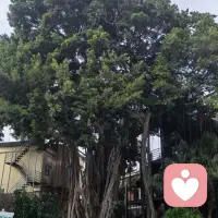 人生最难得的醒悟！
是接受有些人只能陪自己一程，是学会放过，
也允许他人退场…是成全配图