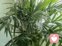 情绪稳定不是从不发脾气，或者从来没有负面情绪，这不是情绪稳定，而是情绪压抑。情绪稳定的本质是无惧和无悔。
1、无惧是对将要发生的任何事情都不恐惧，允许一切发生，来什么就经历什么，来什么就解决什么，解决不了的那就放下。
2、无悔就是已经发生的任何事情、对自己曾经做出的任何决定，都全部接受，不后悔当初，不怨天尤人配图