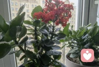 情绪稳定不是从不发脾气，或者从来没有负面情绪，这不是情绪稳定，而是情绪压抑。情绪稳定的本质是无惧和无悔。
1、无惧是对将要发生的任何事情都不恐惧，允许一切发生，来什么就经历什么，来什么就解决什么，解决不了的那就放下。
2、无悔就是已经发生的任何事情、对自己曾经做出的任何决定，都全部接受，不后悔当初，不怨天尤人配图