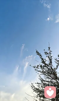 静心，觉察自己的心理动力模式
 
觉察每一次情绪起落
看清每一份渴望、退缩与重复轮回
读懂潜意识推着自己前行的隐秘动力
看见模式，照见执念
向内扎根，与真实的自己温柔相遇配图