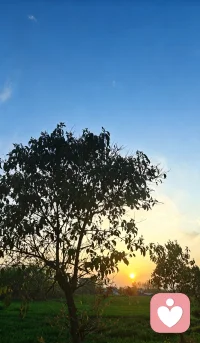 静心，觉察自己的心理动力模式
 
觉察每一次情绪起落
看清每一份渴望、退缩与重复轮回
读懂潜意识推着自己前行的隐秘动力
看见模式，照见执念
向内扎根，与真实的自己温柔相遇配图