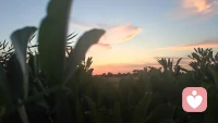你的目标能不能定位于当下此时此刻，而不把当下此时此刻当成垫脚石。
