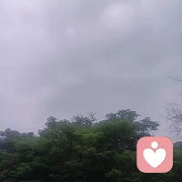 今天周未，外面淅淅沥沥下着小雨，这心情也像天气一样，心里闷闷的，好象雨越下越大，我这心里也买加沉闷与迷茫
