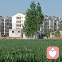 520不必轰轰烈烈，平安顺遂就好。有人惦记，有人相伴，平凡日子也满是温柔和欢喜，爱意不必喧嚣。三餐四季温柔相伴，岁岁年年平安喜乐。愿所爱皆所得，所求皆如愿，日子温暖，万事顺心配图