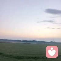 520不必轰轰烈烈，平安顺遂就好。有人惦记，有人相伴，平凡日子也满是温柔和欢喜，爱意不必喧嚣。三餐四季温柔相伴，岁岁年年平安喜乐。愿所爱皆所得，所求皆如愿，日子温暖，万事顺心配图