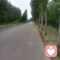 有幸相遇，秉持耐心专注倾听，用心共情陪伴，我会保持十足耐心为您解情续和困挠配图
