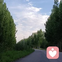 早安🌤
昨夜雨声落幕，耳边还有细碎鸟鸣。放下昨日满心疲惫与纠结，新的一天慢慢舒展自己，好好善待内心，万事慢慢向好。